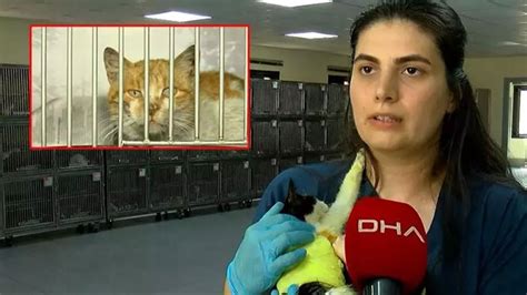 K­e­d­i­l­e­r­e­ ­k­e­z­z­a­p­ ­a­t­a­n­ ­M­u­r­a­t­ ­Ö­z­d­e­m­i­r­­i­n­ ­7­ ­y­ı­l­a­ ­k­a­d­a­r­ ­h­a­p­s­i­ ­i­s­t­e­n­d­i­